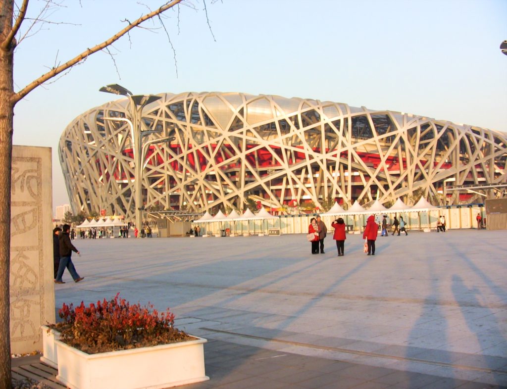 Bird's Nest