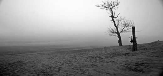 Tottori Sand Dunes Apocalypse