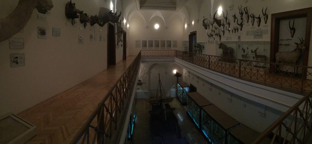 bih-museum-animals1