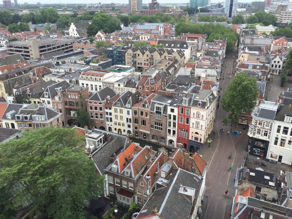 dom-view-w