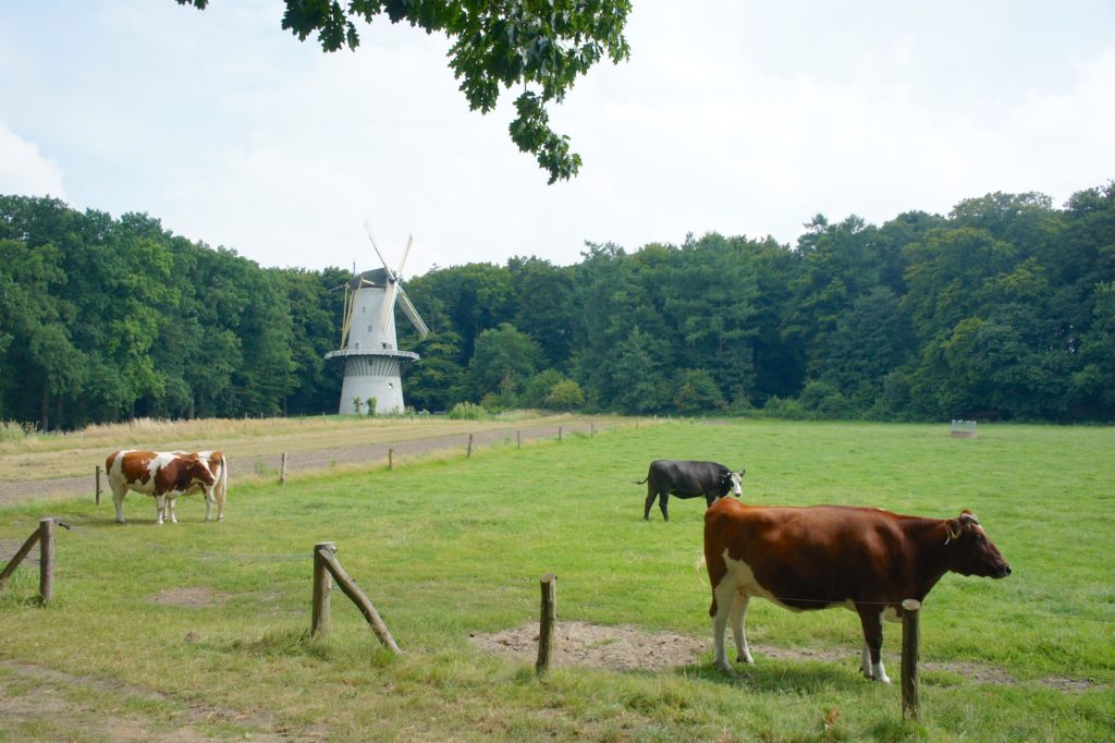 Dutch Open Air Museum